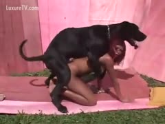 Slut with hot tan lines having beastiality sex with a biggest dog